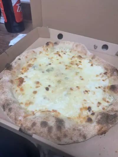 Forno Magnifico