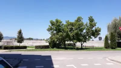 Липата ЕООД