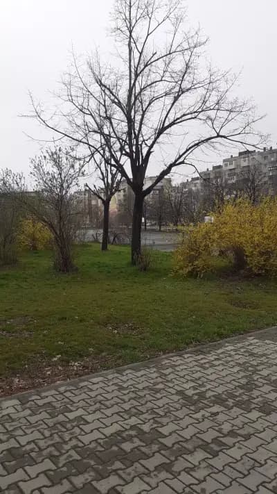 ОУ "Чудомир"