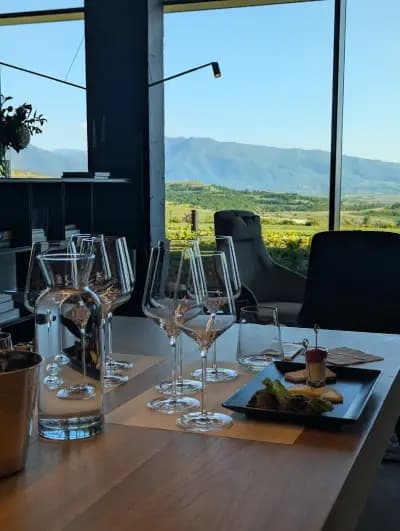 AYA Estate Vineyards