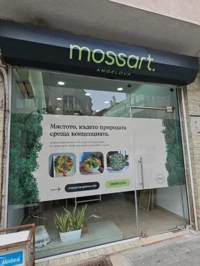 Moss Art Angelova / Декорации със скандинавски мъх