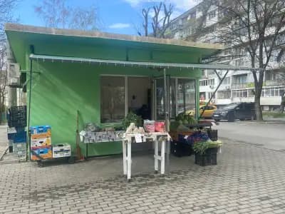 Плод зеленцук