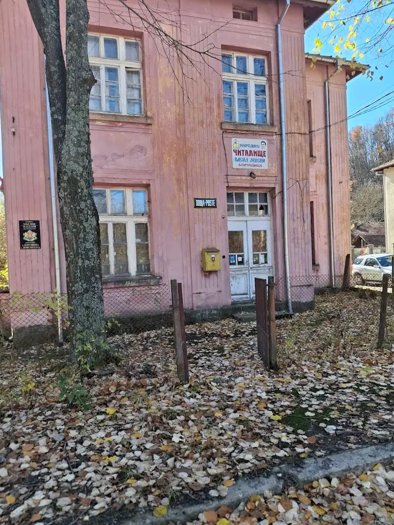 Кметство Борущица