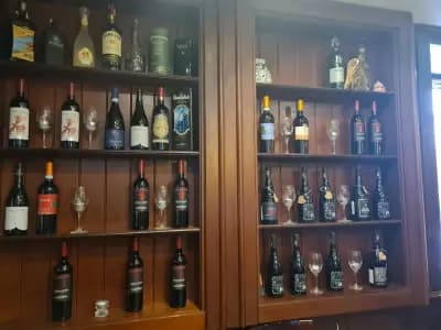 TYT Birreria Risto Pub