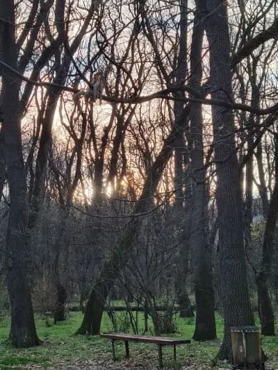 Park „Kosharite“