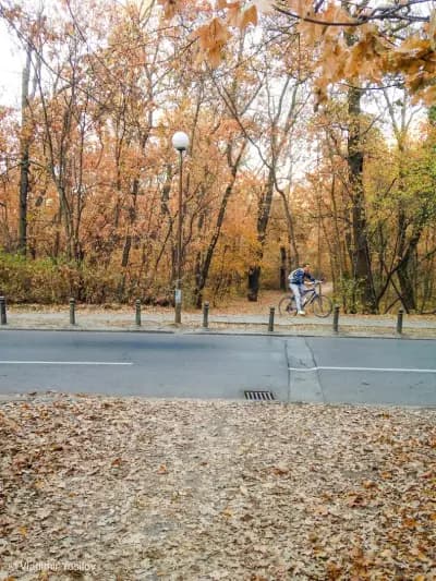 Park „Kosharite“
