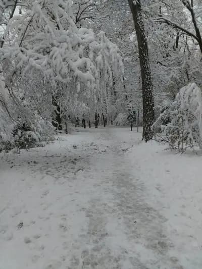 Park „Kosharite“