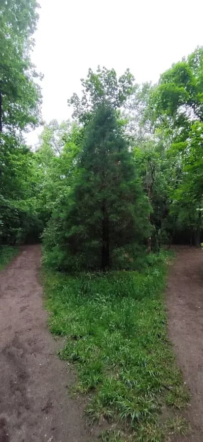 Park „Kosharite“