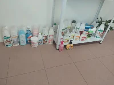 Фаберлик Казанлък