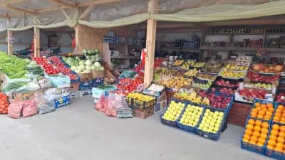 Зеленчукова борса "При Аби"