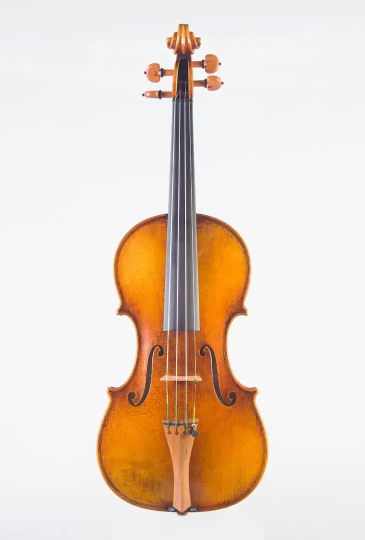 Petrovviolins