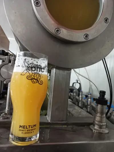 Пивоварна Мелтум (Meltum Brewery)