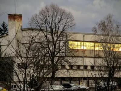 Танцова формация Дилмани