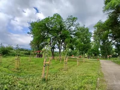 Парк Писковец