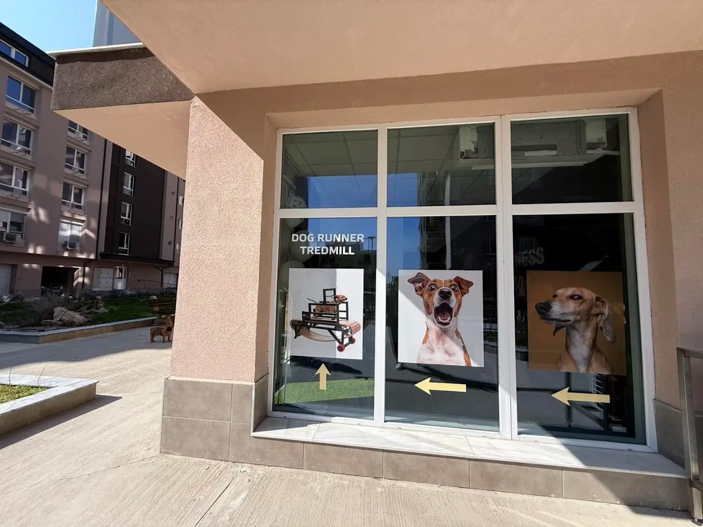 Grooming & Fitness - Maison MJ