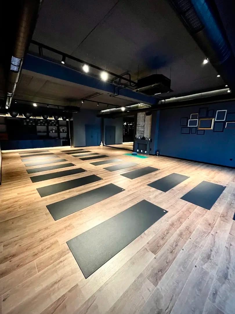 YogaLab Каменица парк