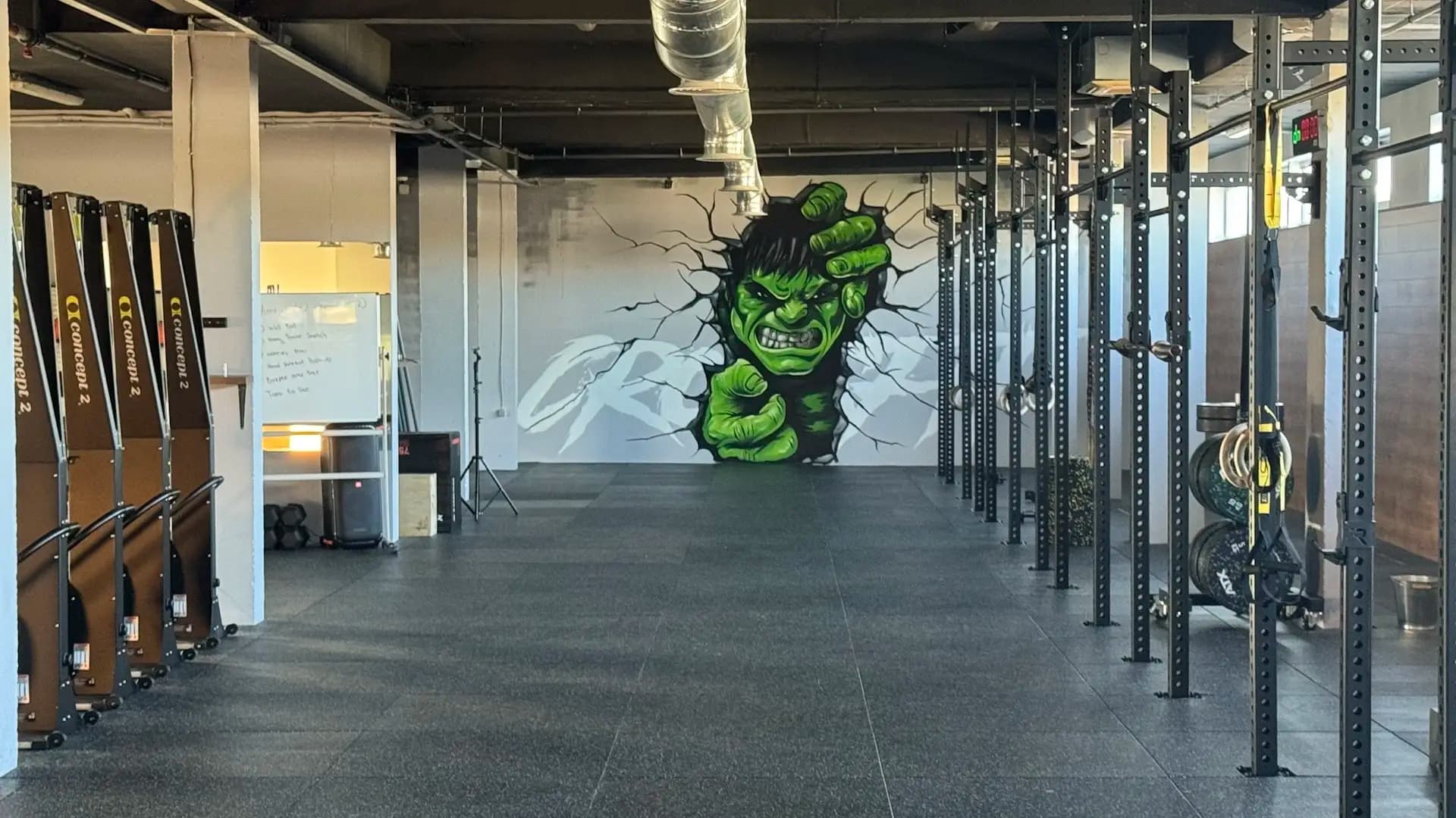 REVIVE TRAINING CLUB