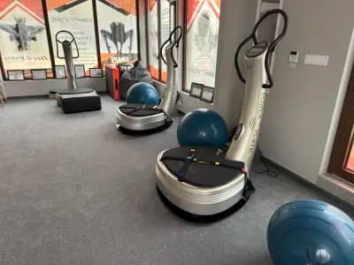 Vibra Fit Studio Power Plate