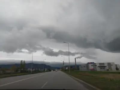 ПРИСТА ОИЛ