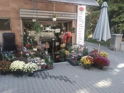 М-н за цветя Ани