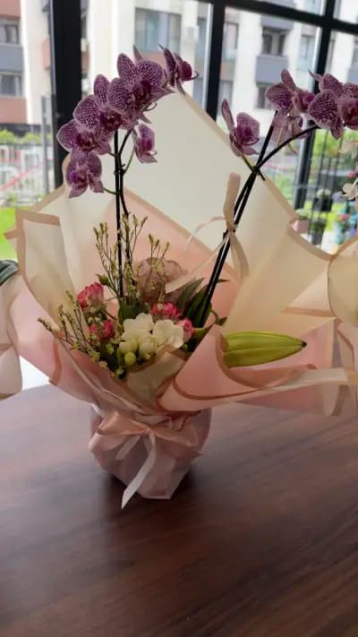 Inly Boutique Flowers & Gifts