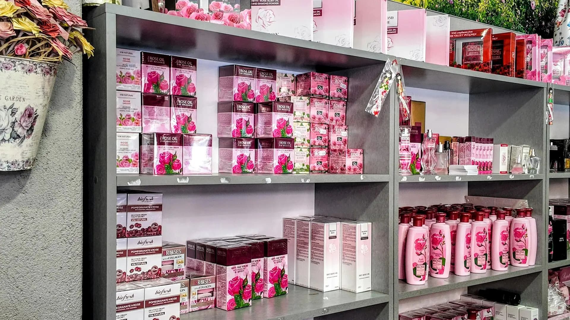 House of roses
