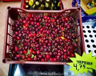 Супермаркет Нонстоп / Grocery store / Bakkal