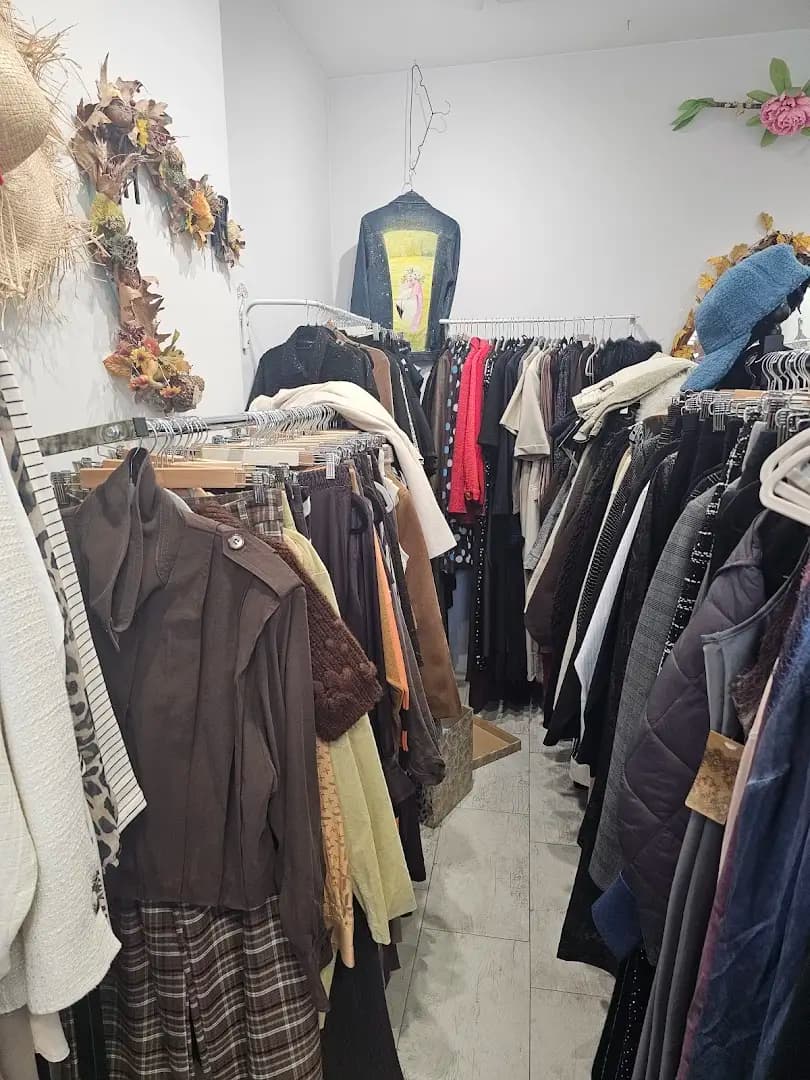 Ataniya Fashion