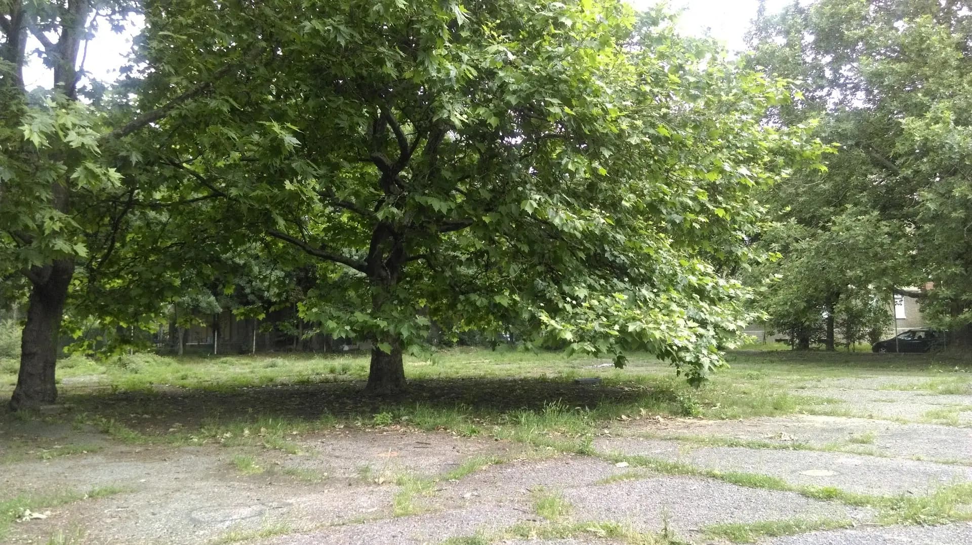 Площад Ручей