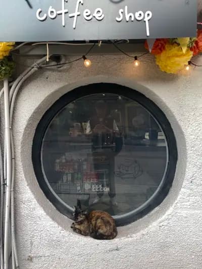 Freya Coffee Shop