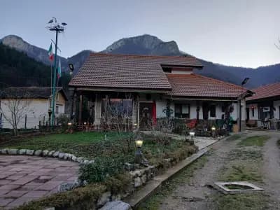 Dolphin Residence