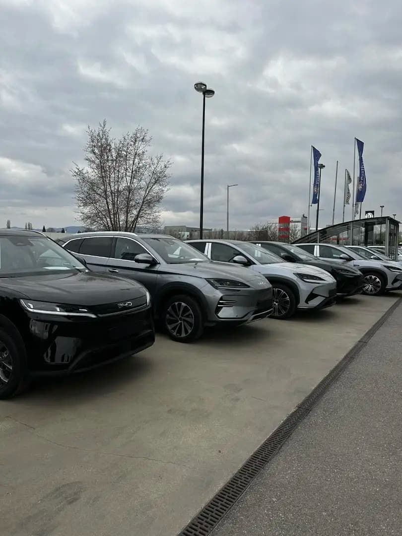 BYD SOFIA | Esco Automotive