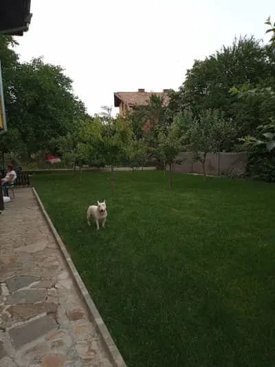 Къща за гости "Надежда" / Guest house "Nadejda"