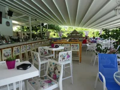 Morado Premium Club