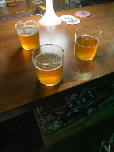 Sofia Electric Brewing