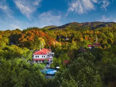 Forest Paradise Hanevtsi