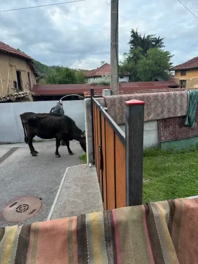 Micro Hotel Raduil
