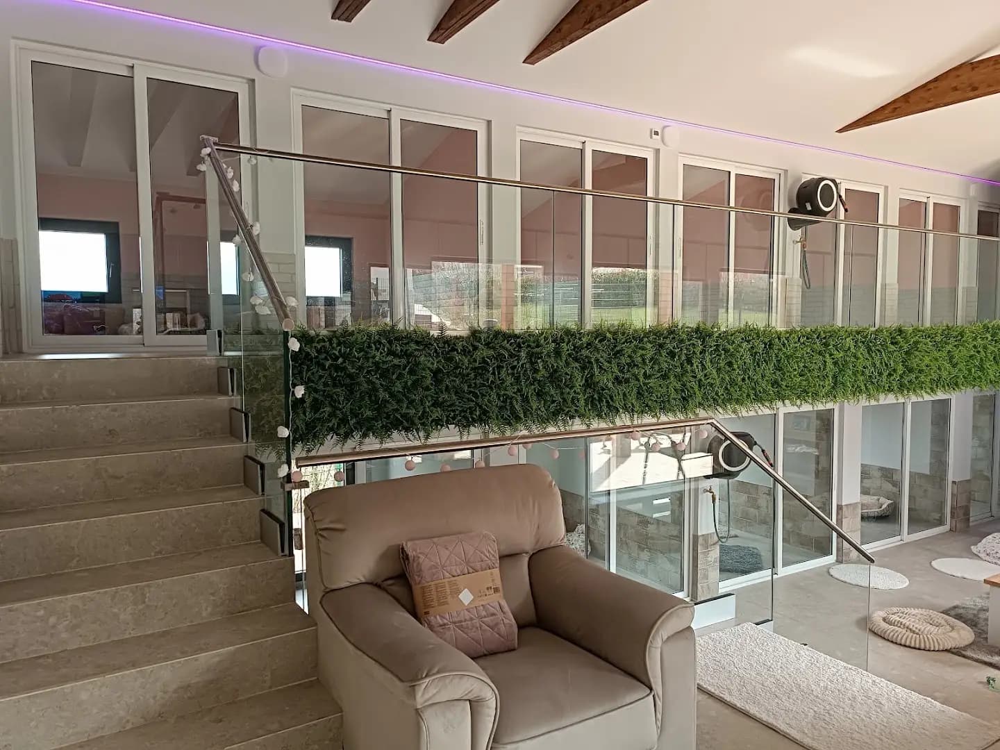 Rozi's Luxury Dog Hotel
