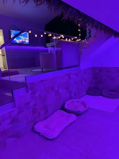 Rozi's Luxury Dog Hotel