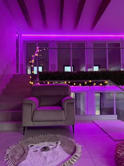 Rozi's Luxury Dog Hotel