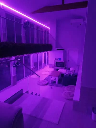 Rozi's Luxury Dog Hotel