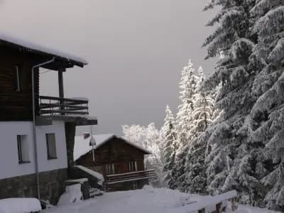Хижа „Амбарица“