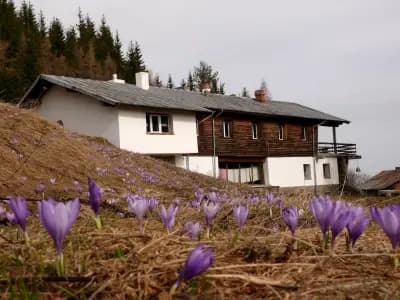 Хижа „Амбарица“