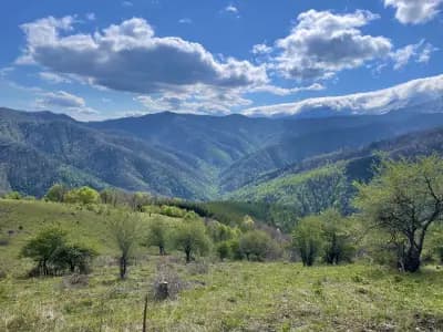 Хижа „Амбарица“