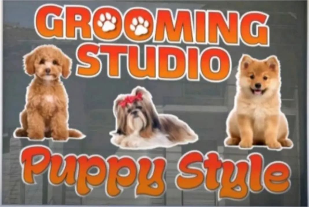 Puppy Style Grooming