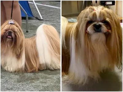 Brightworks