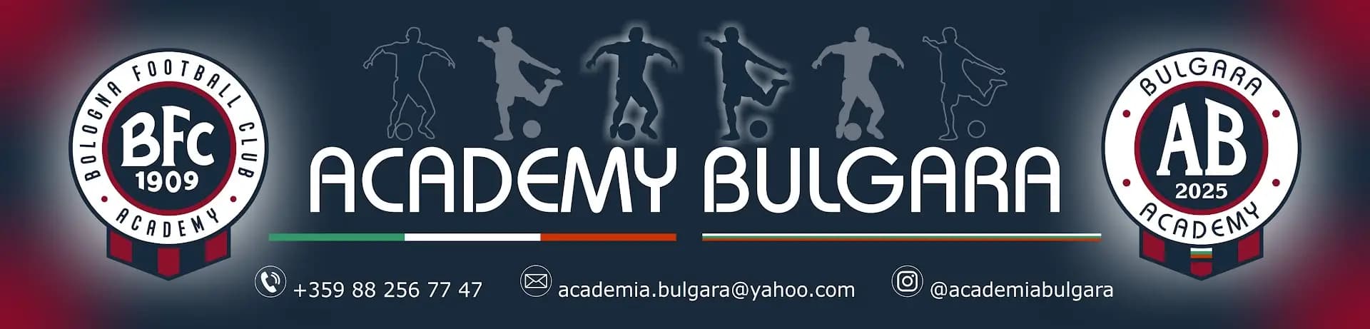 Академия Булгара