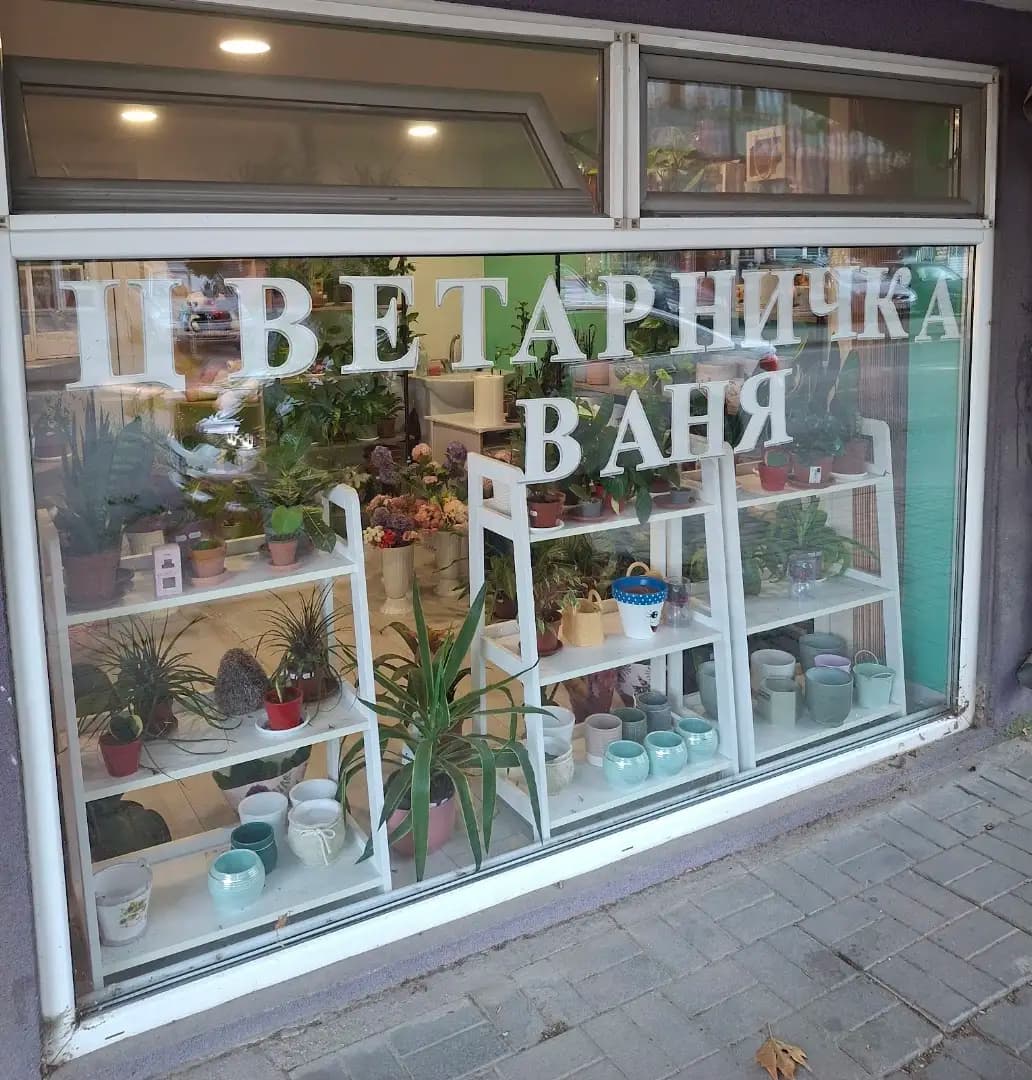 Цветарничка Ваня