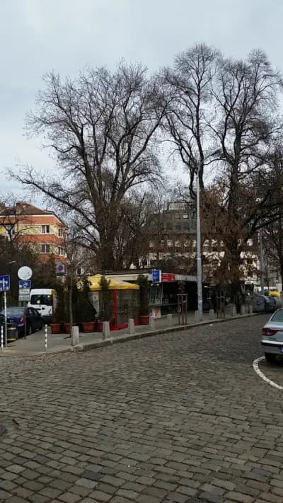 Стъклената спирка