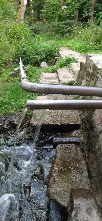 Горските джакузита